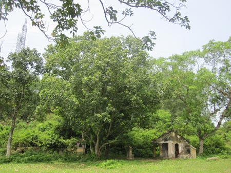 Bí[-]ẩn[-]Lăng[-]Sọ[-]ở[-]Huế